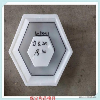 高铁空心六棱块模具塑料模具厂家批发价格图1