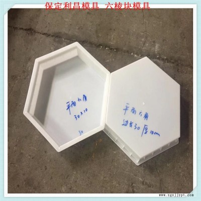 铁路六棱块模具批发塑料模具厂家定制图1