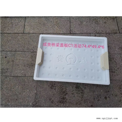 预制电缆槽盖板模具  高铁电缆槽盖板模具  铁路电缆槽盖板模具  电缆槽盖板塑料模具图2