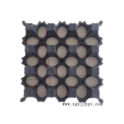 高承载植草现浇草坪模具 现浇草坪塑料模具 停车场现浇草坪模具图1