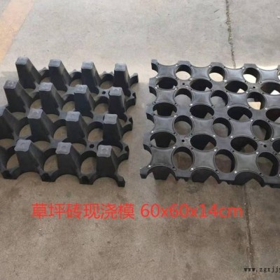 高承载植草现浇草坪模具 现浇草坪塑料模具 停车场现浇草坪模具图2