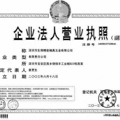 生辉精密模具其他五金配件图2