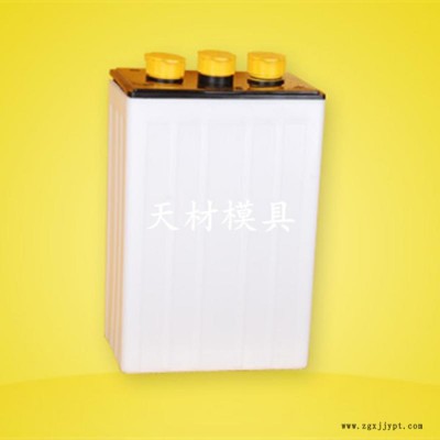 蓄电池精密模具 蓄电池塑料模具图2