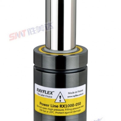 RAYFLEX  RX100-019 五金模具配件 气弹簧 氮气 冲压  模具弹簧图2