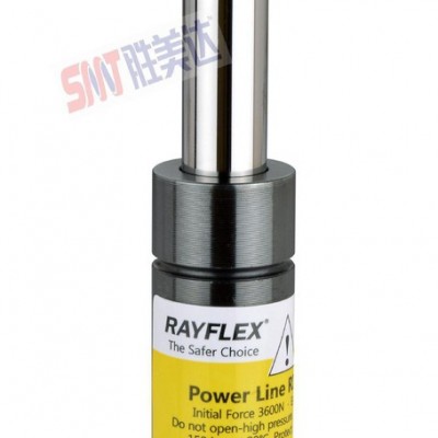 RAYFLEX  RX100-019 五金模具配件 气弹簧 氮气 冲压  模具弹簧图1
