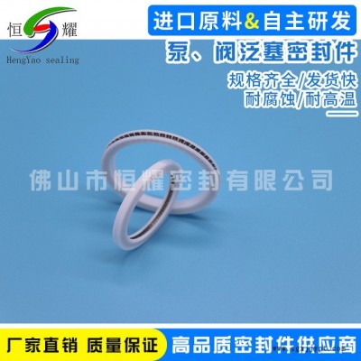 生产批发泵阀泛塞封 高压阀蒸汽阀密封圈 直销高低温泵安全密封圈图3