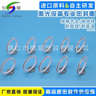 专业激光设备密封件 机械密封圈 优质密封件 激光设备专业密封圈图5