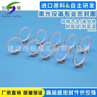 专业激光设备密封件 机械密封圈 优质密封件 激光设备专业密封圈图2