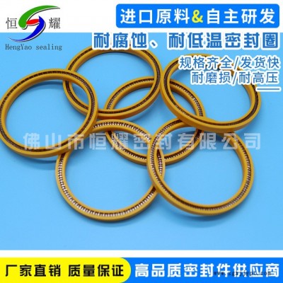 厂家特价供应耐腐蚀 耐低温优质密封圈 液氢密封圈泛塞封定做图5