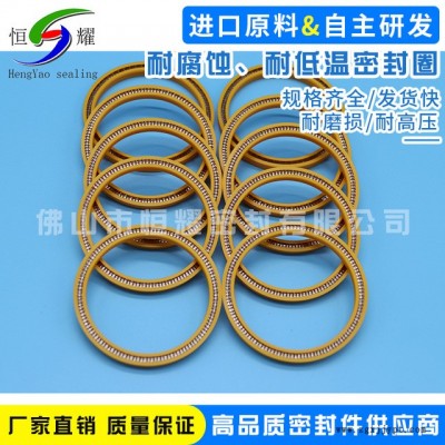 厂家特价供应耐腐蚀 耐低温优质密封圈 液氢密封圈泛塞封定做图4