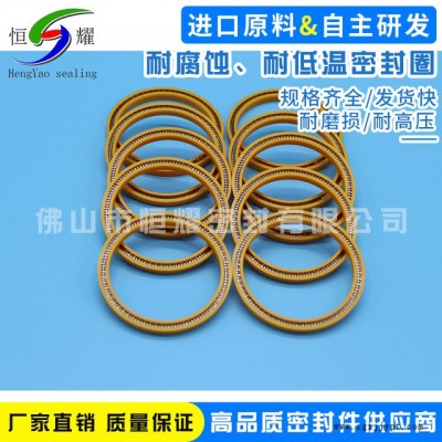 厂家特价供应耐腐蚀 耐低温优质密封圈 液氢密封圈泛塞封定做图2