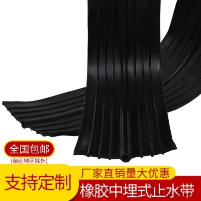 海晨科技背贴橡胶止水带 桥梁止水带 橡胶止水带651 橡胶止水带 外埋橡胶止水带图5