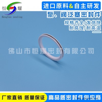 专业生产优质泵阀泛塞封 高压蒸汽阀泛塞封 真空泵高温泵密封圈图4