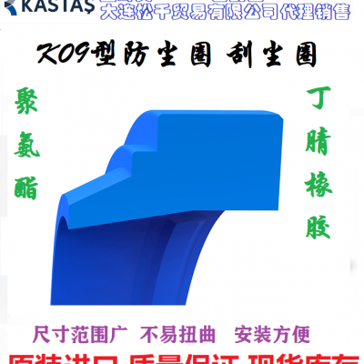 DH/DHS密封圈防尘 聚氨酯防尘 DZ防尘 现货供应 防尘防水防油 刮尘圈图2