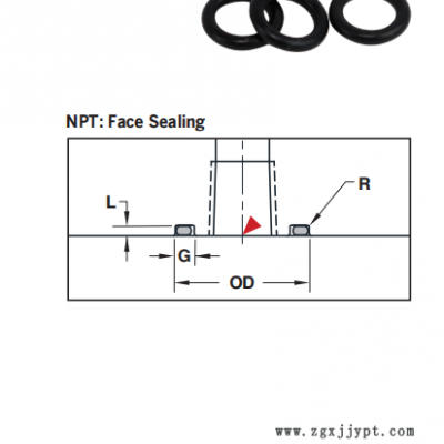 o-rings　O型圈　密封圈图2