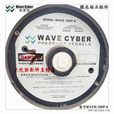 英国唯赛勃WAVECYBER WAVE-300P-8反渗透膜壳端盖堵头密封圈