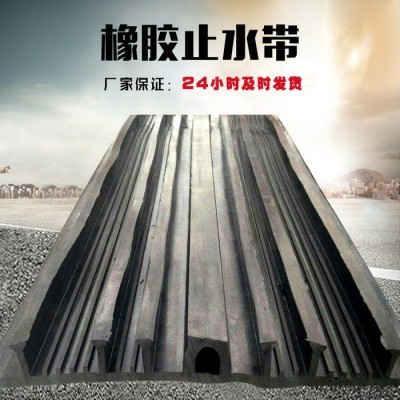 海晨供应 地铁用中埋式钢边橡胶止水带 400*10mm橡胶止水带图3