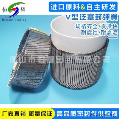 直销泛塞封弹簧 V型斜体弹簧 进口密封圈弹簧 精密弹簧细弹簧轴封图3