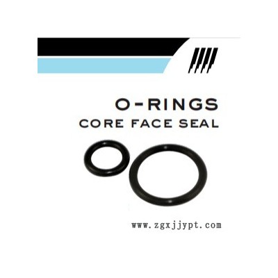 O型圈　密封圈　o-rings　core diameter seal