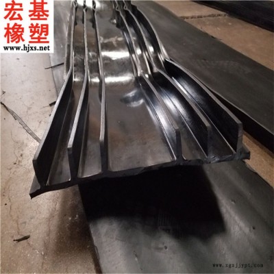 300×6外贴式橡胶止水带 中埋式橡胶止水带 **货到付款图7