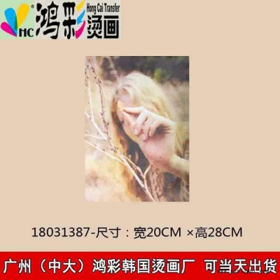 寿县霍邱广州中大鸿彩韩国烫画厂家当天出货硅胶热转印 硅胶丝印 硅胶水转印热转印硅胶烫画 合模3D硅胶商标加工 青岛硅胶转图4