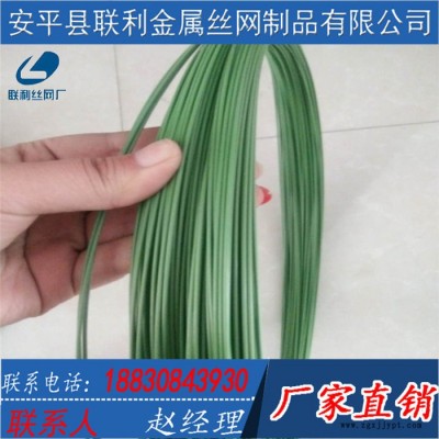 联利现货供应绿色包胶铁线 捆绑扎线包胶皮 包塑铁丝 工艺品包胶丝图3