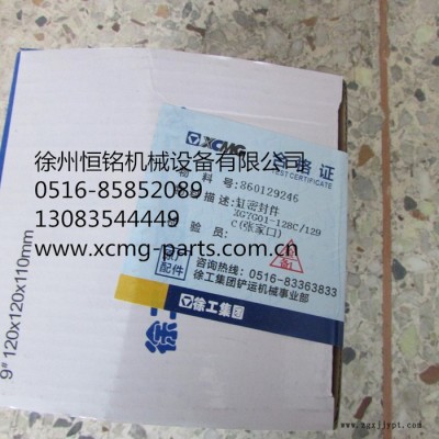 供应徐工配件860129246缸密封件XGYG01-128C129C(张家口)