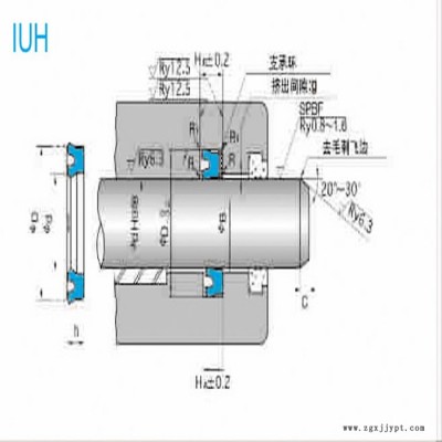 NOK密封件USI型 密封圈 耐磨损 机械活塞杆油封机械密封件