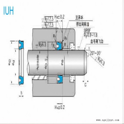 NOK密封件IUH型 密封圈 耐磨损 机械活塞杆油封图3