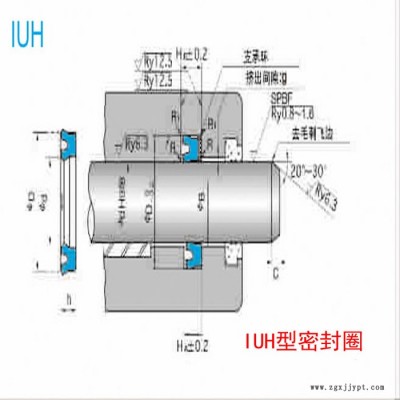 NOK密封件IUH型 密封圈 耐磨损 机械活塞杆油封