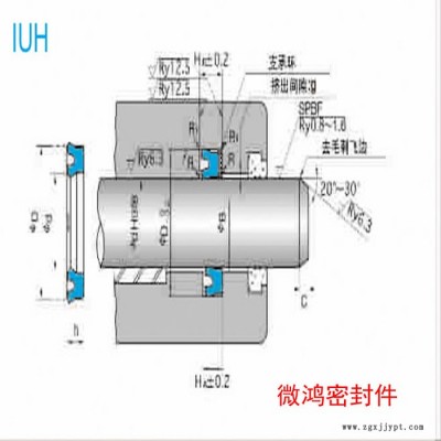 NOK密封件IUH型 密封圈 耐磨损 机械活塞杆油封图2