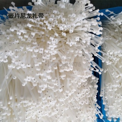 PA66尼龙嵌片扎带 黑白色船用钢片绑扎带 高质量塑料扎线带 汽车园林 石化工程锁紧带厂家直销图2