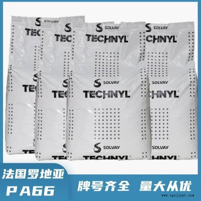 PA66 法国罗地亚 TECHNYL A216 耐冲击 耐化学性 尼龙66原料图1