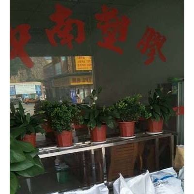 LCP 液晶聚合物 住友 E6008 玻纤增强 高强度 可焊接 耐高温279度图2