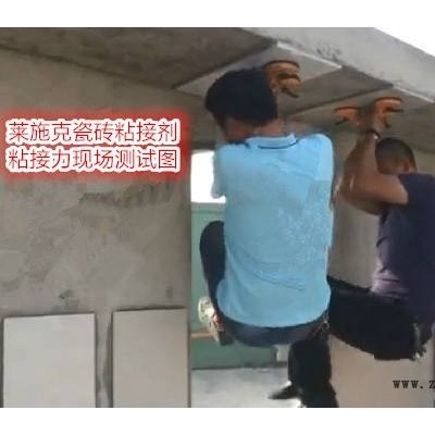 内蒙古瓷砖胶粘剂生产厂家  瓷砖胶粘剂价格销售图2