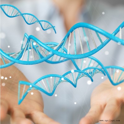 第三方机构胶粘剂检测丹东微谱承接全国业务出具报告图3