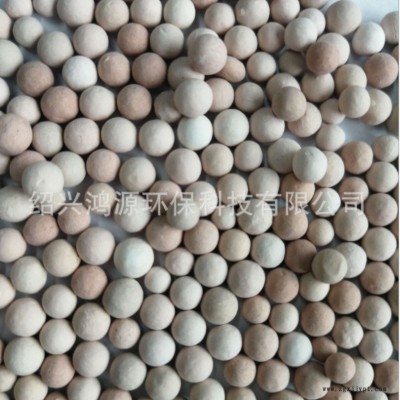 鸿源新品 废水处理臭氧催化剂 工业废水处理催化剂 污水处理臭氧氧化催化剂 贵金属催化剂 免费拿样臭氧催化剂批发图1