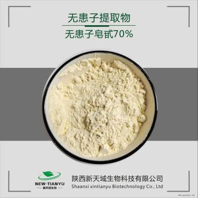 现货供应无患子提取物 无患子皂甙70% 洗涤用品发泡剂 陕西新天域厂家供应