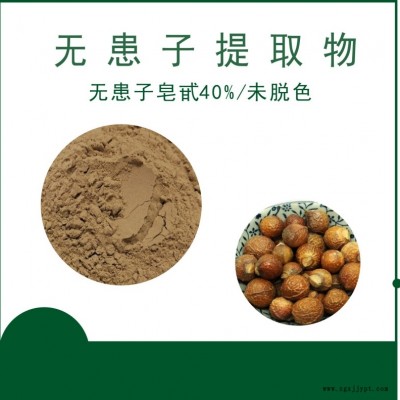 无患子皂甙 天域生物 无患子皂甙10%-70% 洗涤用品发泡剂 现货供应图2