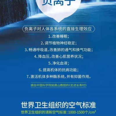 广东东莞优质商家供应除甲醛剂 除味剂 光触媒 植入负离子原液 汽车负离子氧吧套装图2