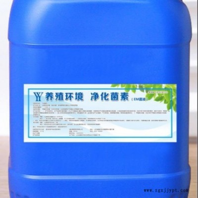 泽蓝化粪池处理 家用桶装 除味剂 垃圾桶防 臭水生异味除 异味除臭剂粪便