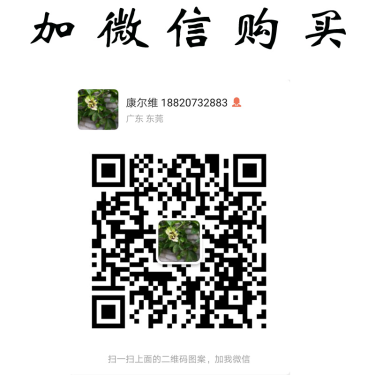 联系议价格 贴笑军中肤乐夫乐抗菌剂四川迪威军中夫乐乳膏皮肤抑菌软膏 军中肤乐夫乐抗菌剂图5