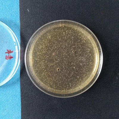 塑胶抗菌剂KP-J151 橡胶防霉抗菌剂橡塑硅胶抗菌剂图3