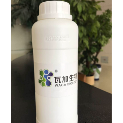 四川专业粉末涂料抗菌剂哪家强 值得信赖 上海瓦加生物科技供应
