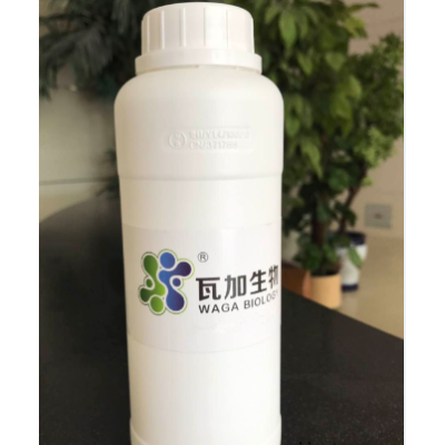 山东口碑好粉末涂料抗菌剂货真价实 创造辉煌 上海瓦加生物科技供应