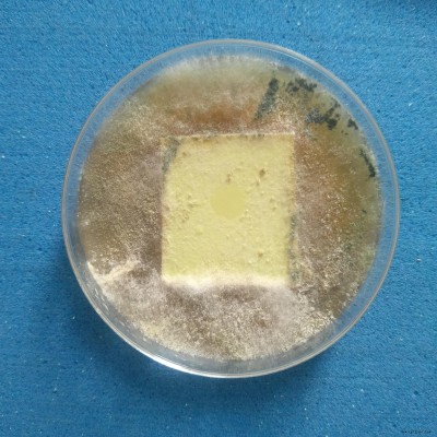 纳米银抗菌剂 厂家塑料银离子抗菌剂粉末透明复合锌银抗菌剂图3