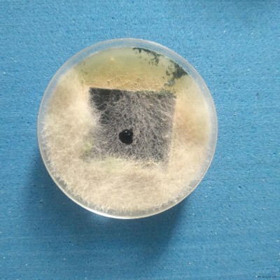 纳米银抗菌剂 厂家塑料银离子抗菌剂粉末透明复合锌银抗菌剂图2