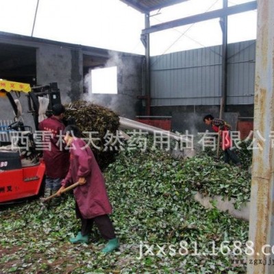 植物精油  趋避剂原料 工业清洗剂 江西雪松现货供应图4