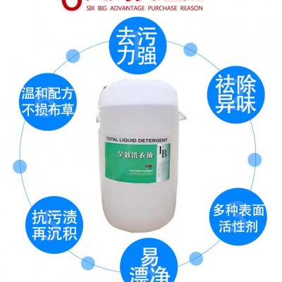 液洗料专用清洗剂   洗衣龙专用清洗剂  液体清洗剂  天宝洗衣液图2