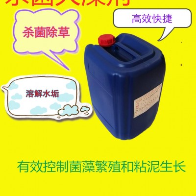山西工业清洗剂杀菌灭澡剂反渗透清洗剂图4